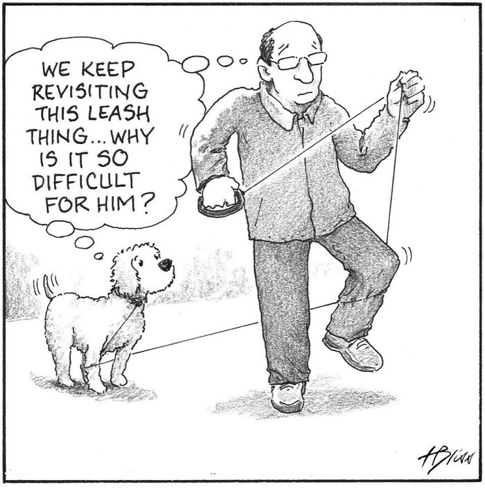 Witty And Intelligent Comics By Living Legend Harry Bliss