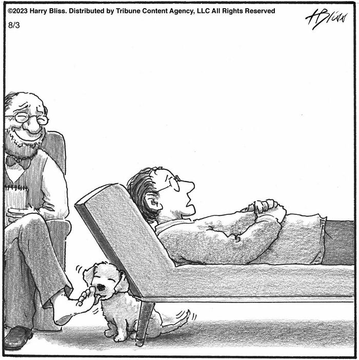 Witty And Intelligent Comics By Living Legend Harry Bliss