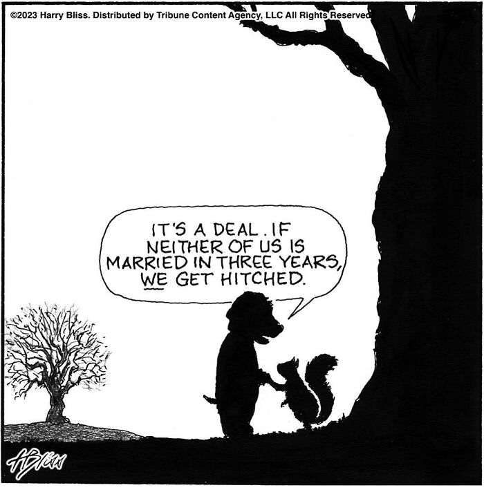 Witty And Intelligent Comics By Living Legend Harry Bliss