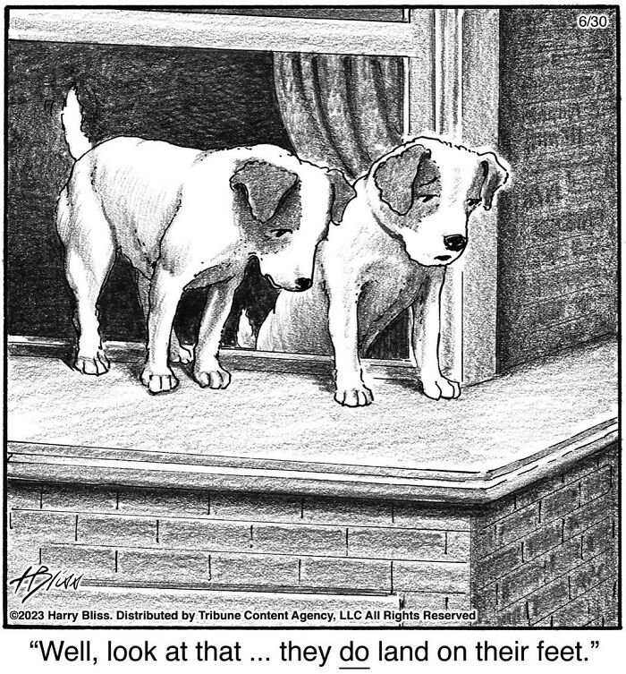 Witty And Intelligent Comics By Living Legend Harry Bliss