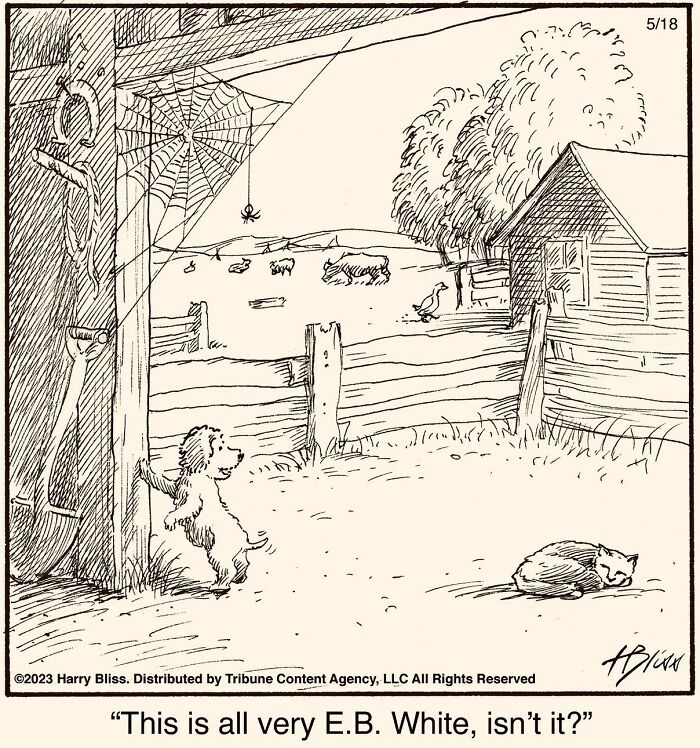 Witty And Intelligent Comics By Living Legend Harry Bliss