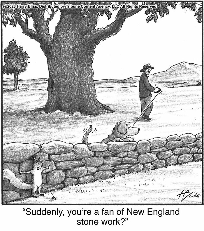 Witty And Intelligent Comics By Living Legend Harry Bliss