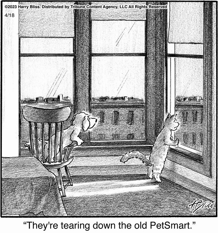 Witty And Intelligent Comics By Living Legend Harry Bliss