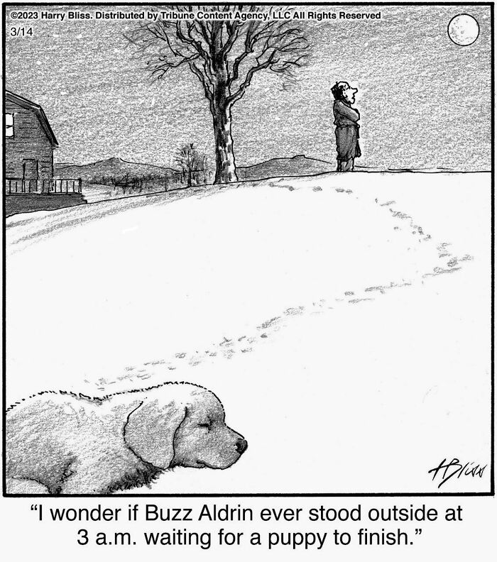 Witty And Intelligent Comics By Living Legend Harry Bliss