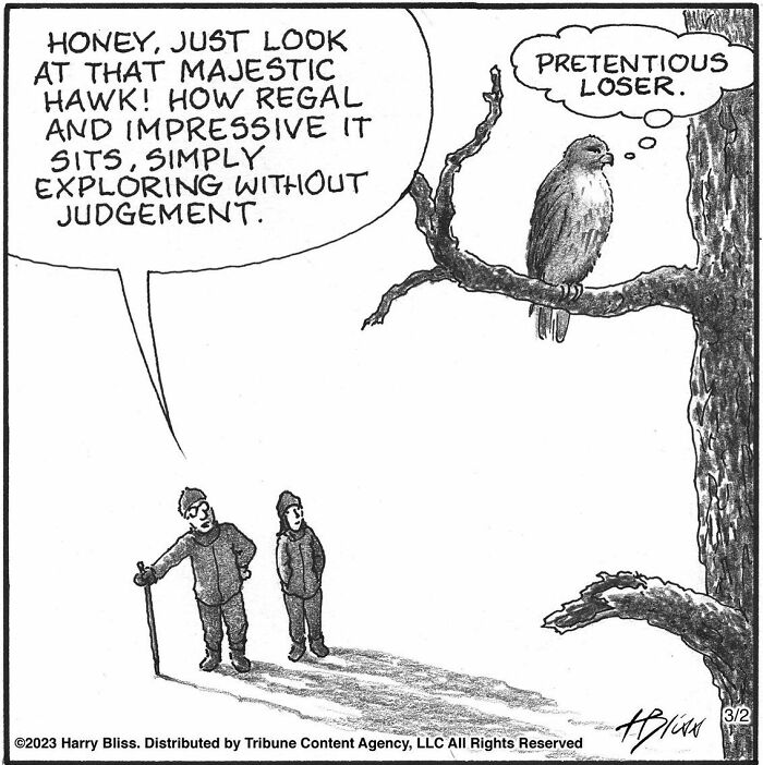 Witty And Intelligent Comics By Living Legend Harry Bliss