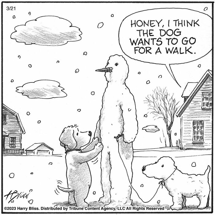 Witty And Intelligent Comics By Living Legend Harry Bliss