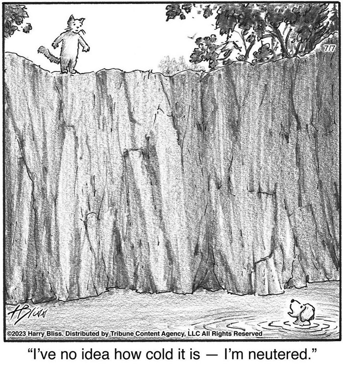 Witty And Intelligent Comics By Living Legend Harry Bliss