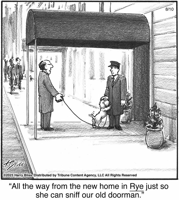 Witty And Intelligent Comics By Living Legend Harry Bliss