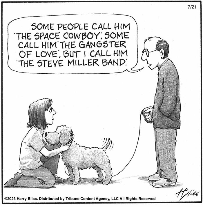 Witty And Intelligent Comics By Living Legend Harry Bliss