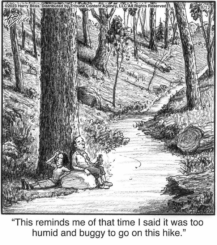 Witty And Intelligent Comics By Living Legend Harry Bliss