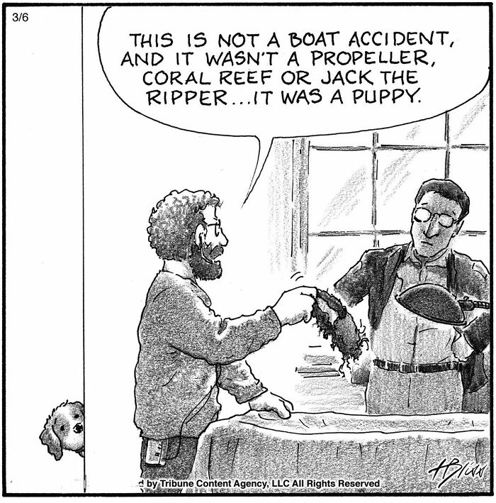 Witty And Intelligent Comics By Living Legend Harry Bliss