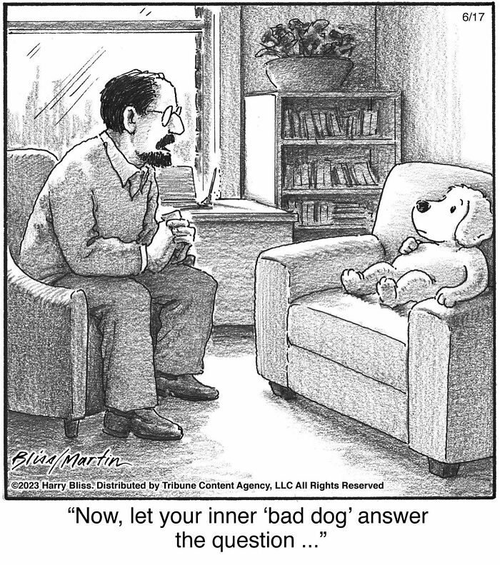 Witty And Intelligent Comics By Living Legend Harry Bliss