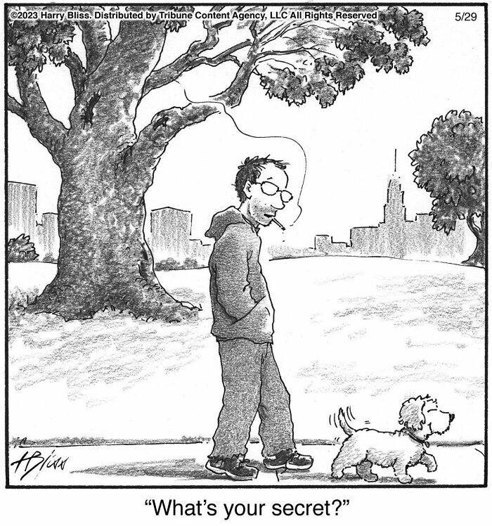 Witty And Intelligent Comics By Living Legend Harry Bliss