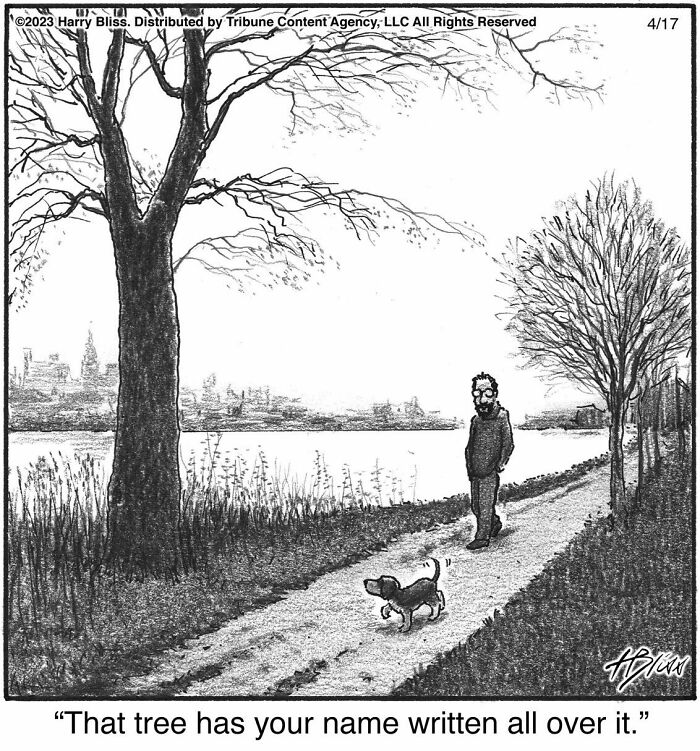 Witty And Intelligent Comics By Living Legend Harry Bliss