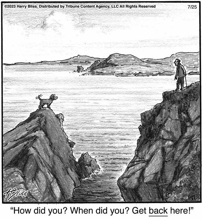 Witty And Intelligent Comics By Living Legend Harry Bliss