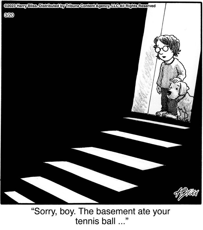 Witty And Intelligent Comics By Living Legend Harry Bliss