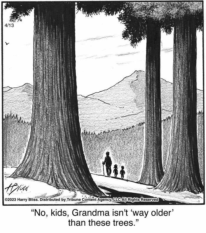 Witty And Intelligent Comics By Living Legend Harry Bliss