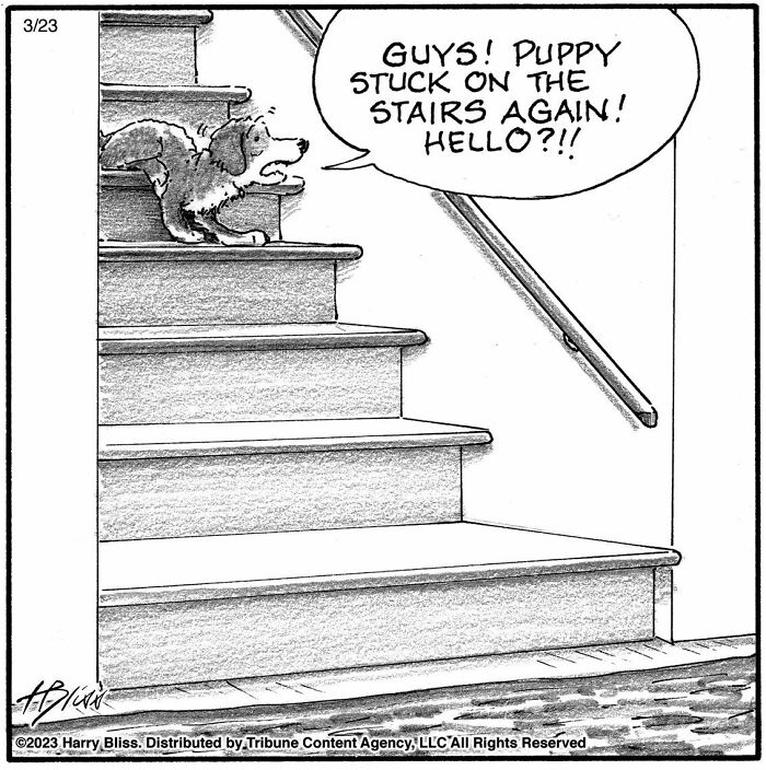 Witty And Intelligent Comics By Living Legend Harry Bliss