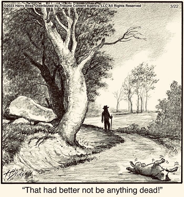 Witty And Intelligent Comics By Living Legend Harry Bliss