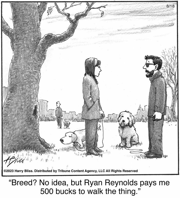 Witty And Intelligent Comics By Living Legend Harry Bliss