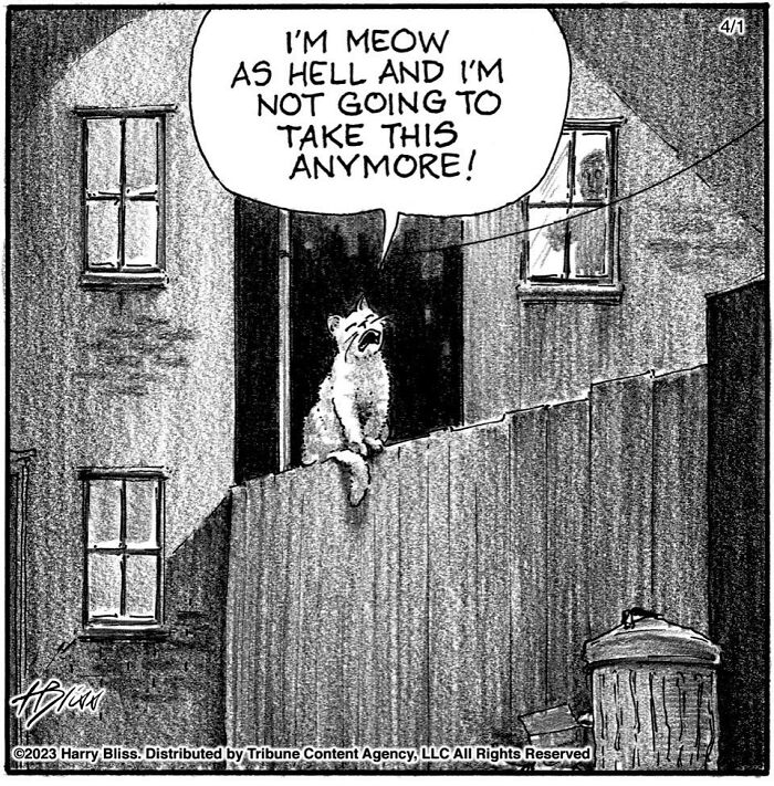 Witty And Intelligent Comics By Living Legend Harry Bliss