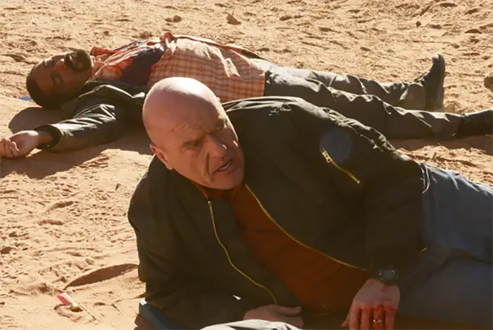 Dean Norris As Hank On Breaking Bad
