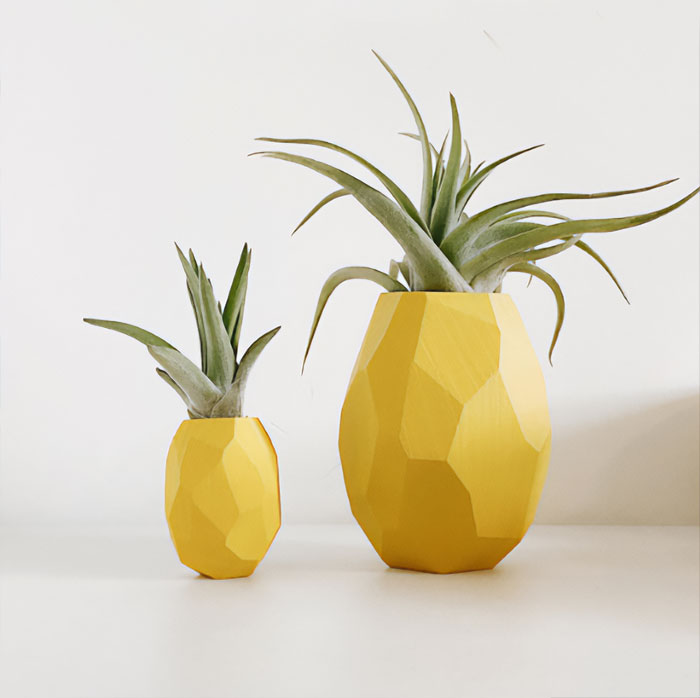 Air plants in sculptural wood holders.