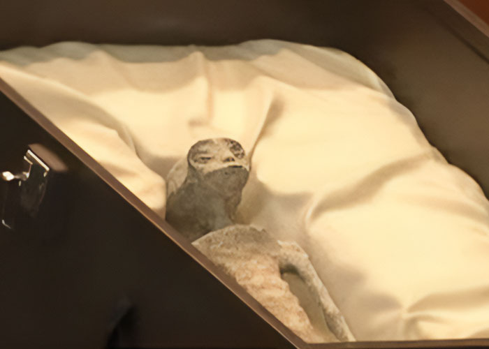 Millennium-Old 'Alien Corpses' Undergo Lab Tests: Mexican Doctors Claim Bodies Are Complete Skeletons