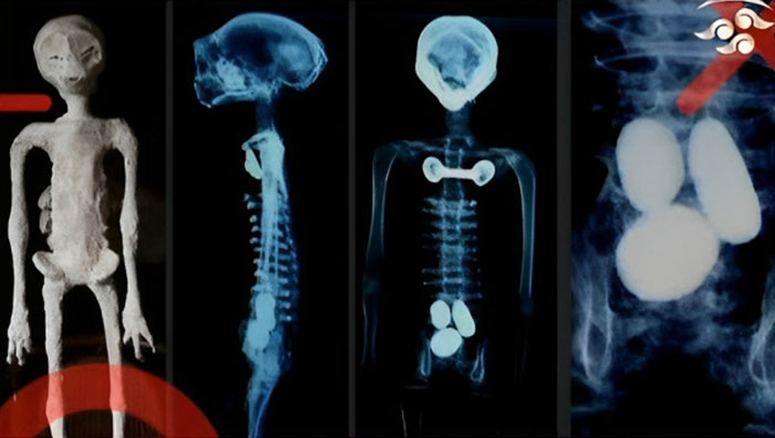 Millennium-Old 'Alien Corpses' Undergo Lab Tests: Mexican Doctors Claim Bodies Are Complete Skeletons