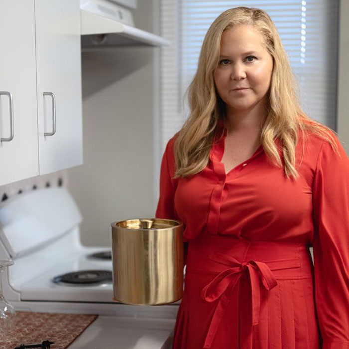 "Never Thought She Was Funny": Fans Defend Nicole Kidman After Amy Schumer's Lame Joke