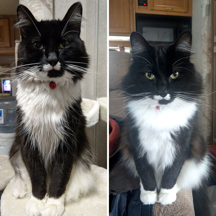 Moving Out Of A Crime-Ridden Environment Has Done Wonders For Him And His Stress Levels