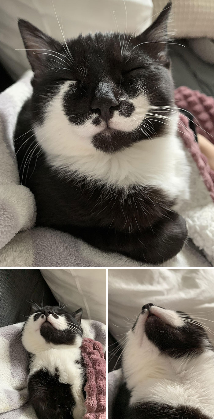 Lola Once Again Fell Asleep In My Arms, I Love Her So Much