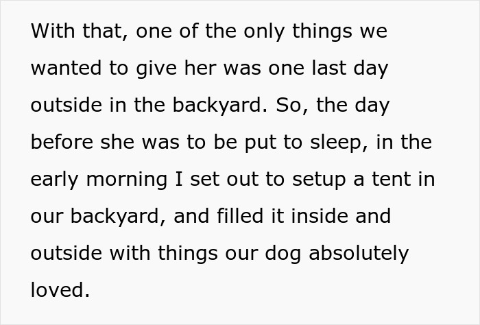 Person Makes Sure Neighbors Never Get To Enjoy Their Yard After They Ruin Dog’s Last Day Outside Person Makes Sure Neighbors Never Get To Enjoy Their Yard After They Ruin Dog’s Last Day Outside