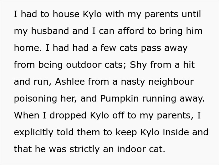 &ldquo;Oh Stop&hellip; It&rsquo;s Just A Cat&rdquo;: Woman Bans Parents From Grandkids Following Tragic Pet Incident