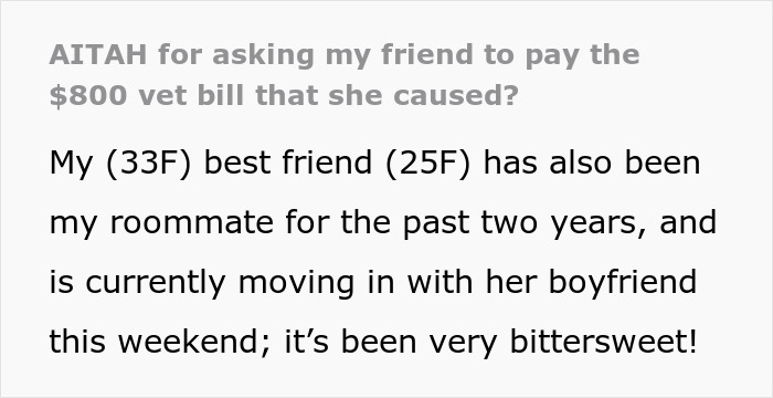 Woman Gets $800 Vet Bill After Her Dog Eats Roommate's Food, Wonders Who's To Blame