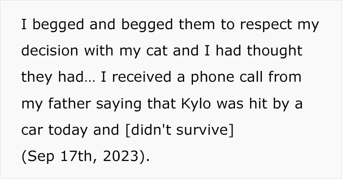 &ldquo;Oh Stop&hellip; It&rsquo;s Just A Cat&rdquo;: Woman Bans Parents From Grandkids Following Tragic Pet Incident