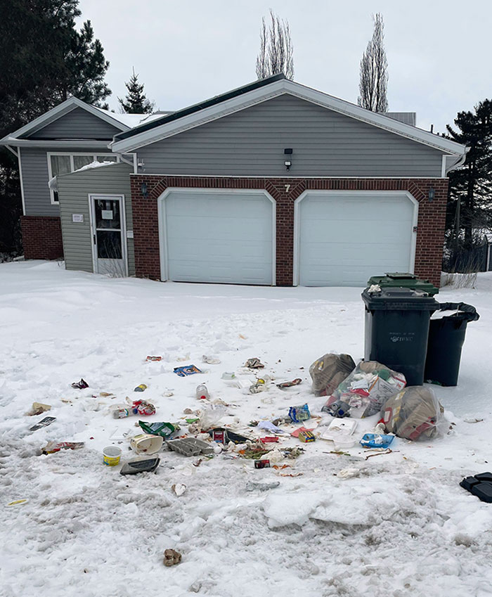 My Neighbors Have Ripped Garbage Bags Consistently Every Week, And I Never See Them Do Anything About It