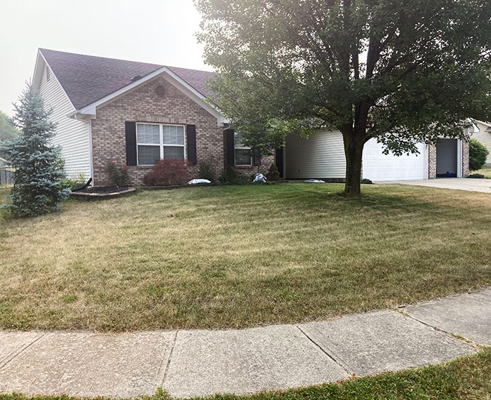 Neighbors Called The Police On Us Because Of Our "Tall Grass"