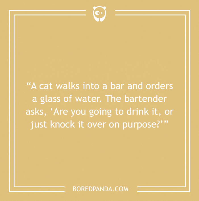 Bar joke about cat walking into a bar and ordering water 