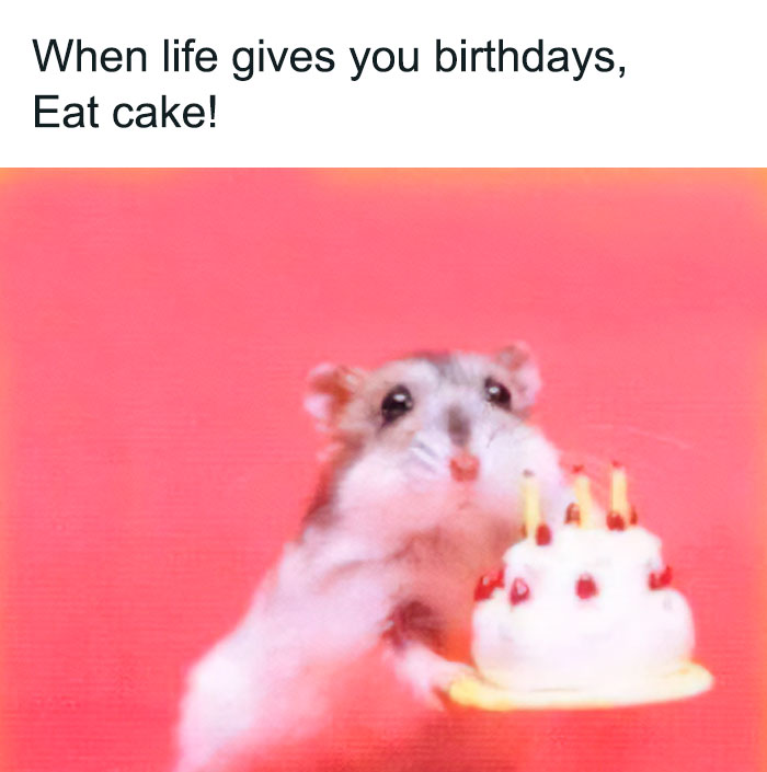 Cute hamster holding a birthday cake with candles, adding fun to the celebration.