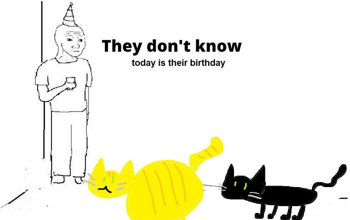 Funny birthday meme with a person in a party hat observing two cats, with text about an unnoticed birthday.