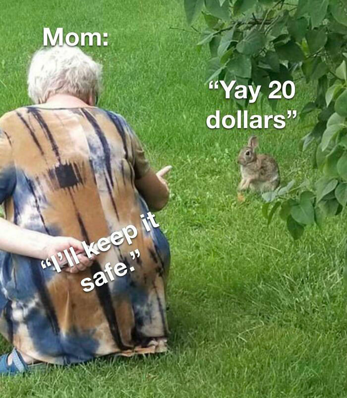 Mom crouching on grass talking to a bunny with text "I'll keep it safe" and "Yay 20 dollars," adding humor to birthday memes.