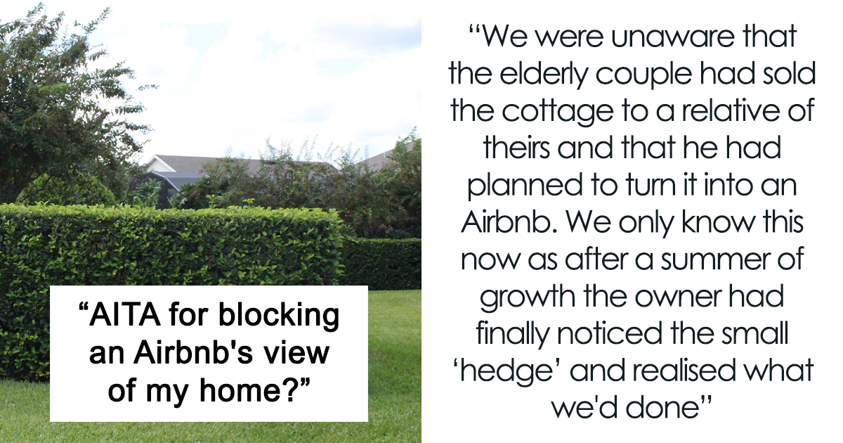 “Your Property, Your Hedge, Your Rules”: Couple Won’t Cut Down Hedge For Next Door Airbnb’s Benefit
