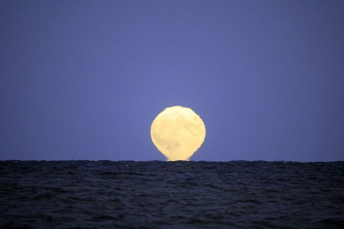 Blue-Super-Moon-Photos-From-World