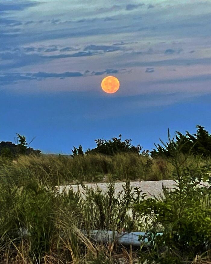 Blue-Super-Moon-Photos-From-World