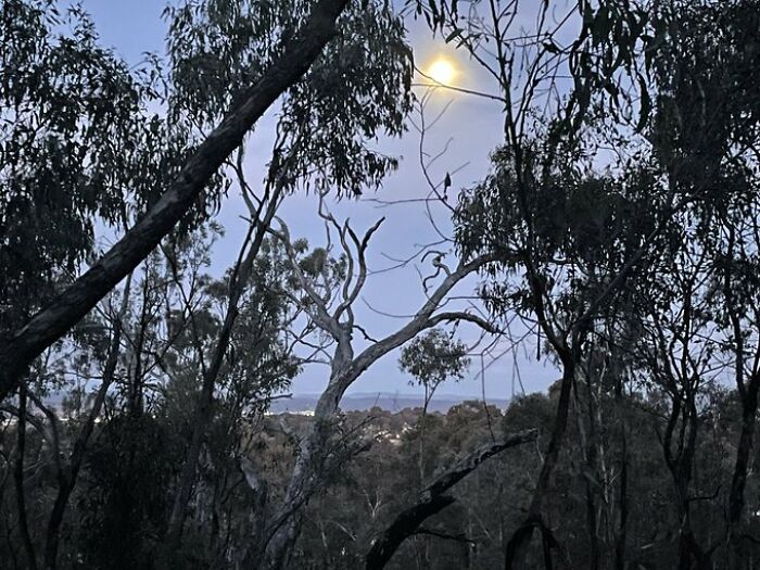 Blue-Super-Moon-Photos-From-World