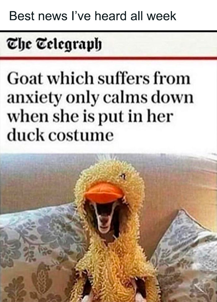 British-Humor-Nostalgia-Memes