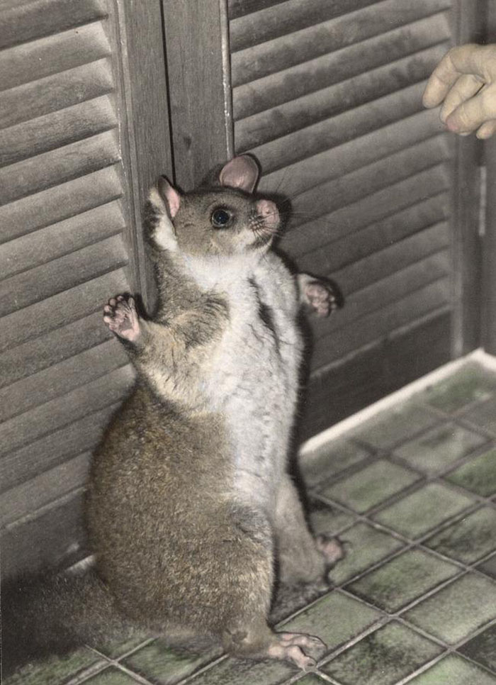 Wedding Guests And Participants Share 30 Instances When The Whole Celebration Went Straight To Hell