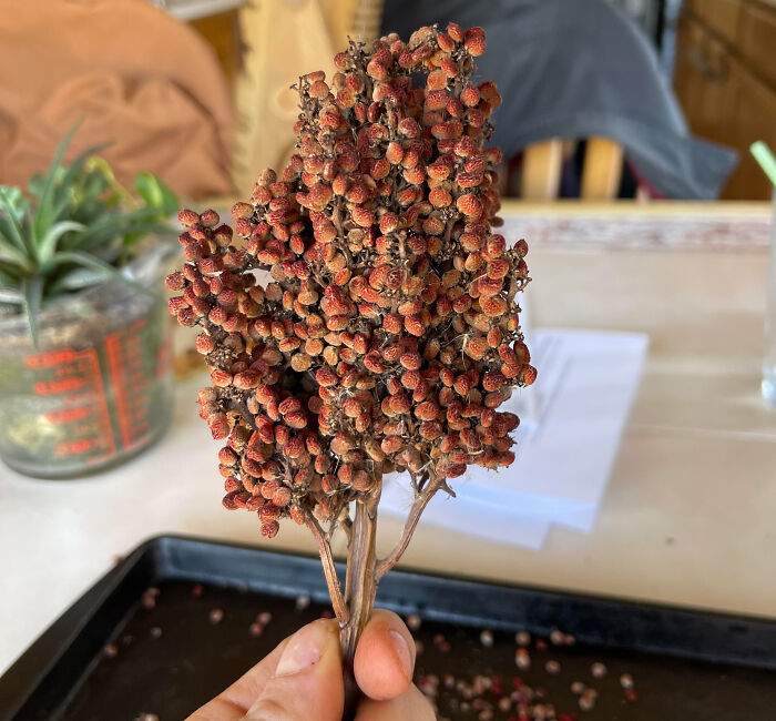 “It’s Life-Changing”: 30 People Share Their Genius Single-Ingredient Cooking Tips