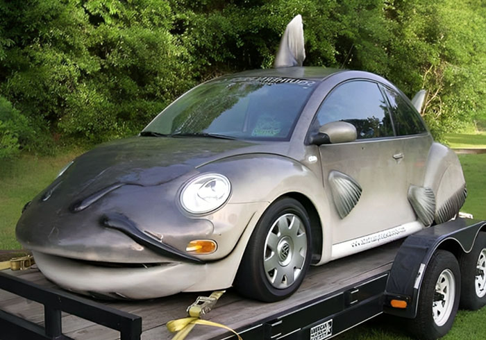 This Beetle Got Catfished